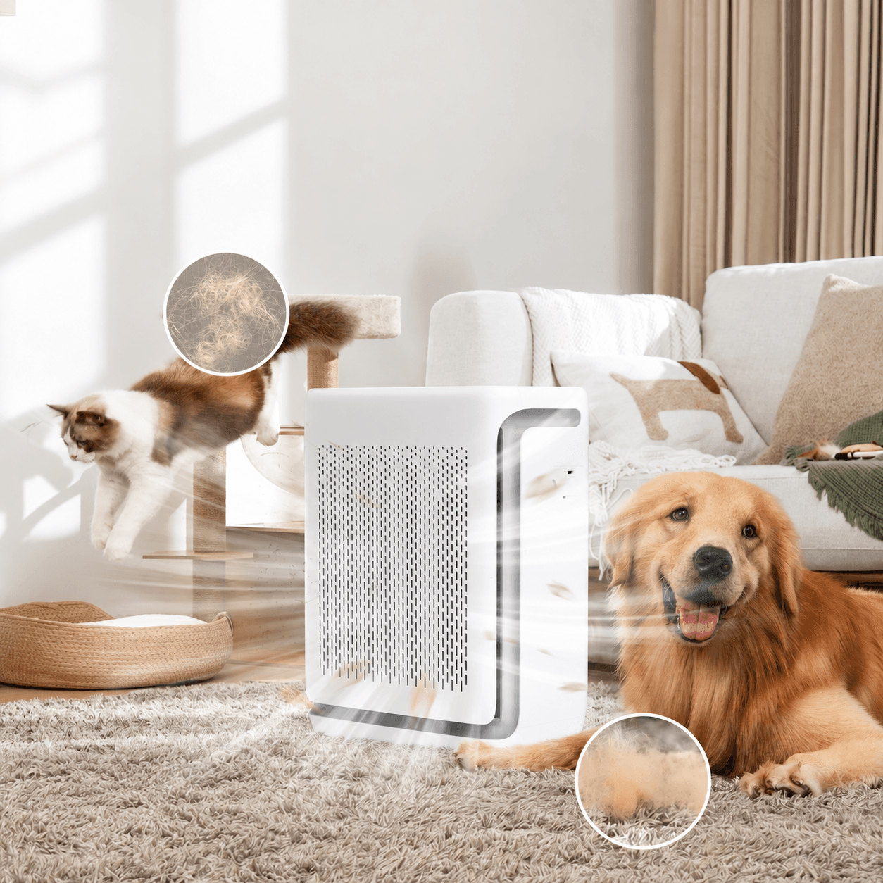 Vital 100S Pet · Pet-focused air purification in a real home setting